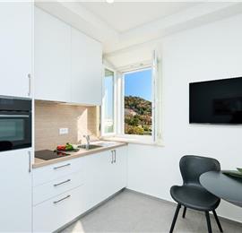 4 Bedroom Villa with Jacuzzi and Seaview in Orašac, Dubrovnik, Sleeps 9